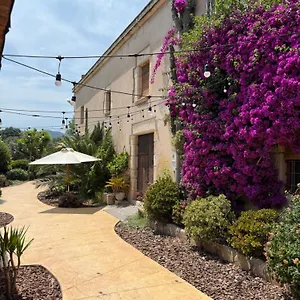 Masferrer Apartamento Riudarenes